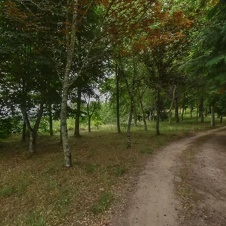 Quinta De Abol De Baixo Gasthof *