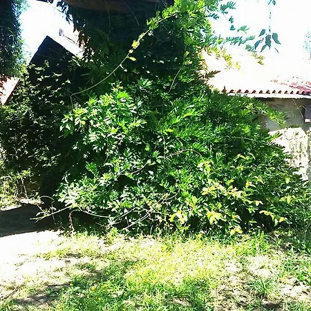 بيت ضيافة Quinta De Abol De Baixo