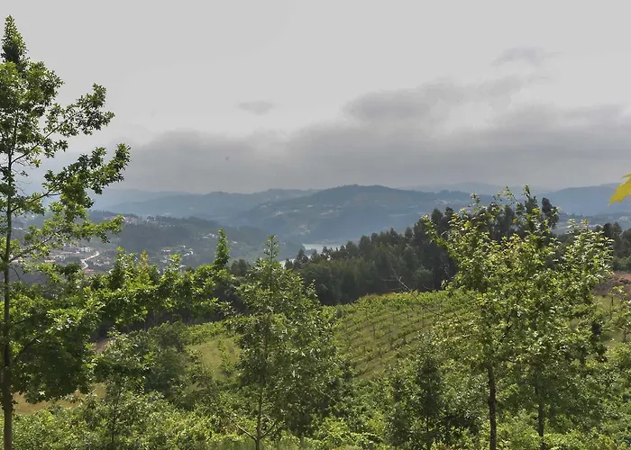 Quinta De Abol De Baixo 4* Entre-os-Rios