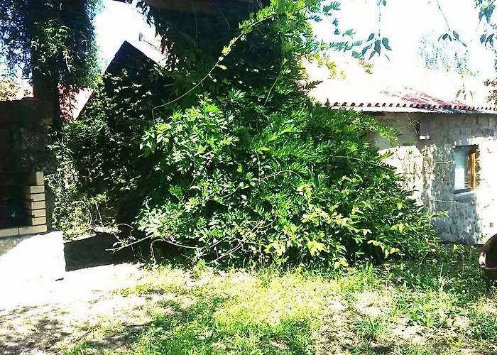 Casa de hóspedes Quinta De Abol De Baixo